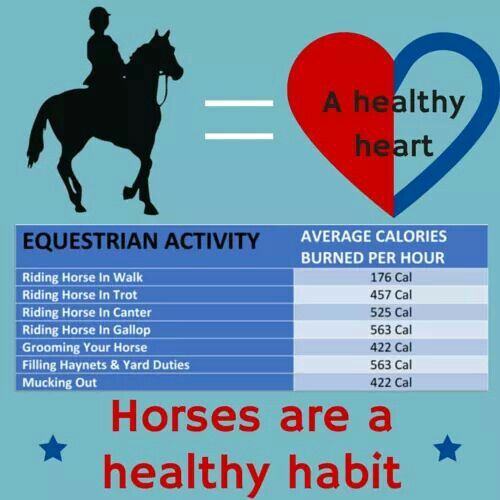 calories burn in horse riding activities
