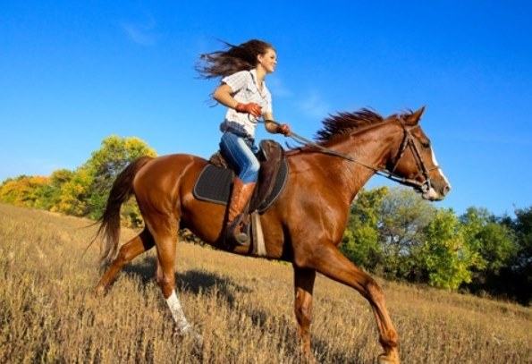 horse riding burn calories