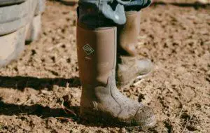 best barn boots reviews