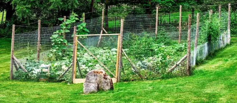 Install fencing around your garden