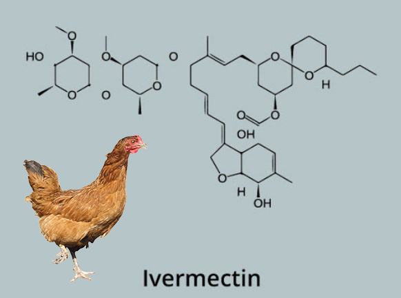 Ivermectin for chickens