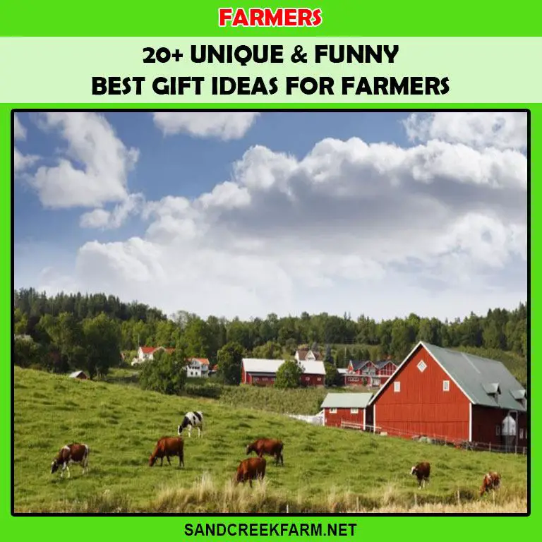30+ Best Gift Ideas for Farmers 2021