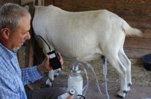 best goat milking machine