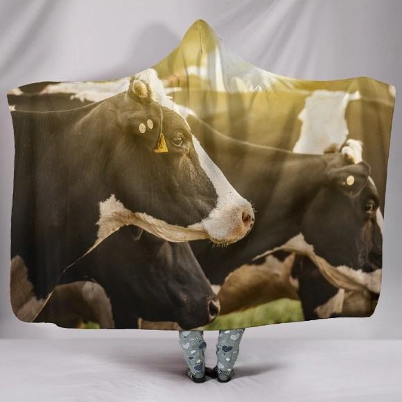 Herd of Cow in Sunset Hooded Blanket