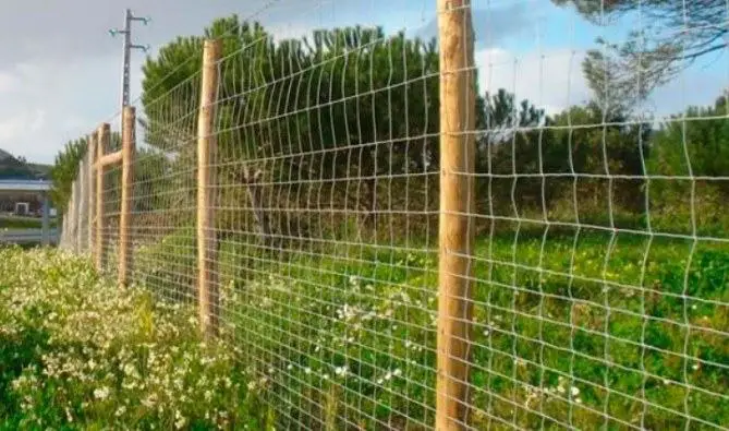 Square Wire Fencing