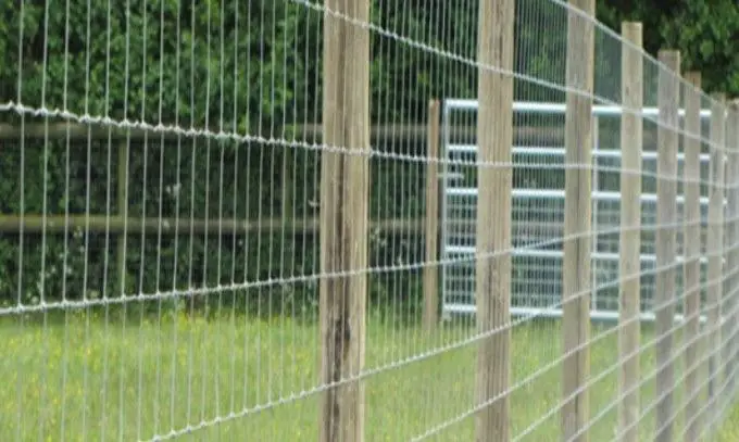 Woven Field Fence