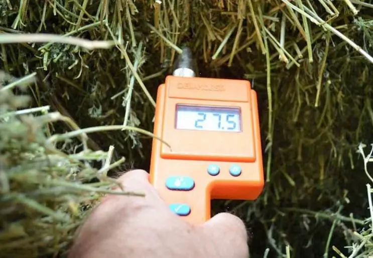 test moisture in hay bales