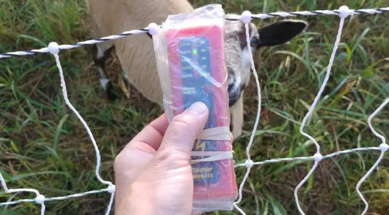 Weather resistant electric fence tester