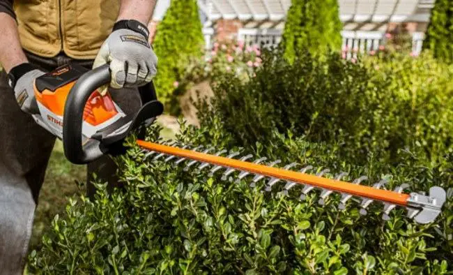 gas hedge trimmer for branches