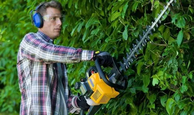 using gas hedge trimmer