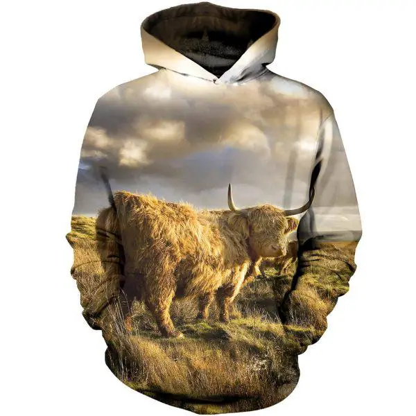 Highland Cattle in the Field 3D Hoodie