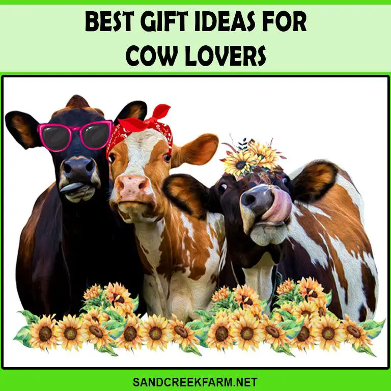 ideas of best gift for cow lover