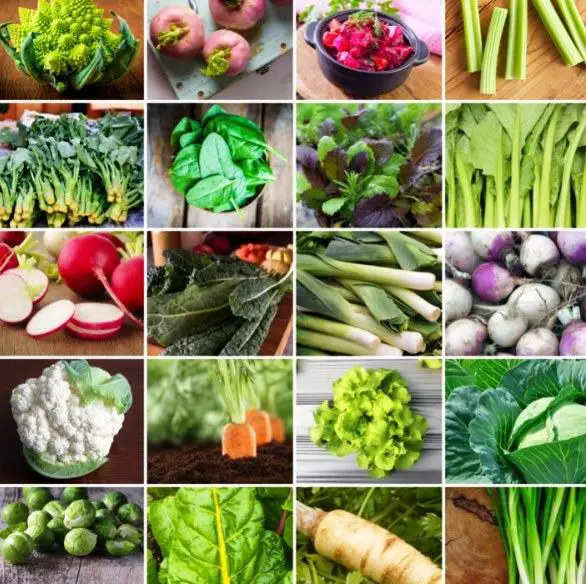 List Of Winter Vegetables To Grow At Home In Pots Or On Farm Sand 