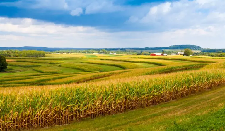 Largest Farm In The Us