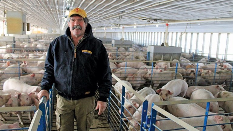 an Iowa pig farmer