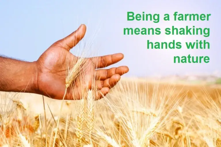 being a farmer quotes