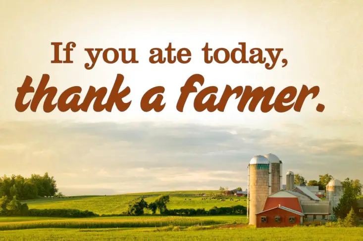 thanks a farmer quotes
