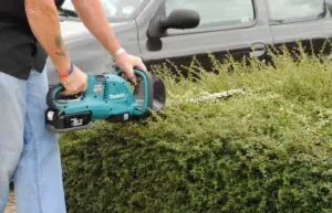 best cordless hedge trimmer reviews