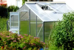 best portable greenhouse reviews