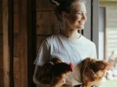 person holding chickens