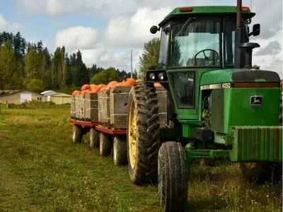 Green tractor pulling pumpkins
