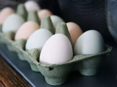 eggs in a carton