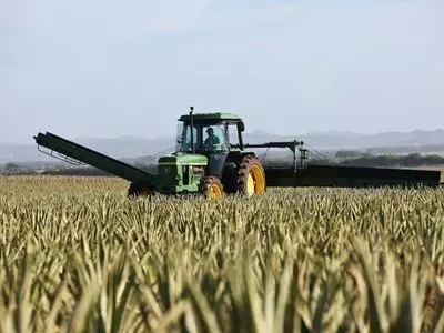 tractor in the field