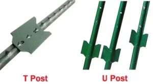 Difference between T post and U Post