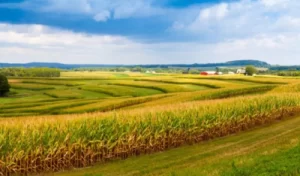 Biggest crop farm: Gaylon Lawrence JR