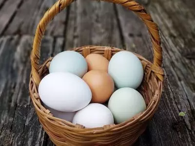 Eggs in a basket