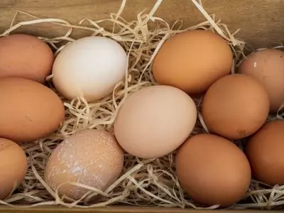 group of brown eggs