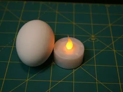 how to candle a chicken egg with a flashlight