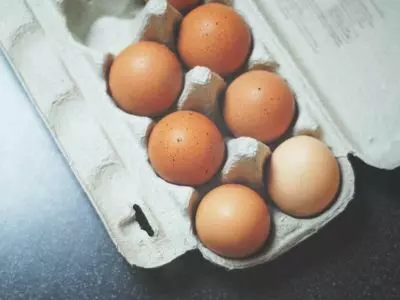 eggs in a carton