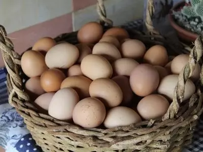 basket of eggs