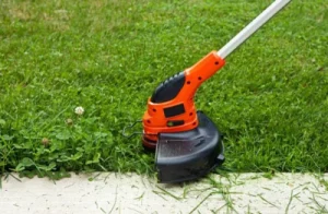 Best Weed Eater For The Money Things To Look For