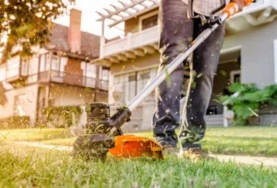 best weed eater for the money reviews