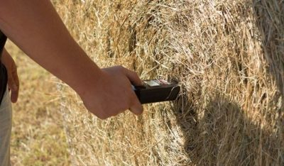 7 BEST Hay Moisture Tester Reviews (2022 Updated)
