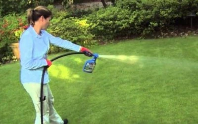 The Best Time Of Day To Spray Weed Killers-2